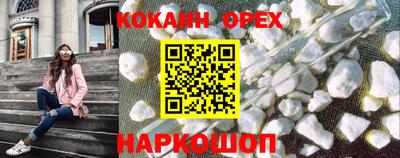 гидропоника Пенза