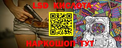 гидропоника Пенза