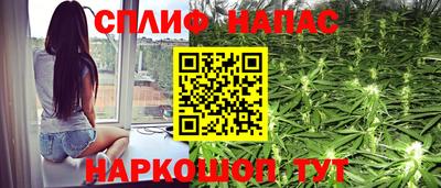 гидропоника Пенза