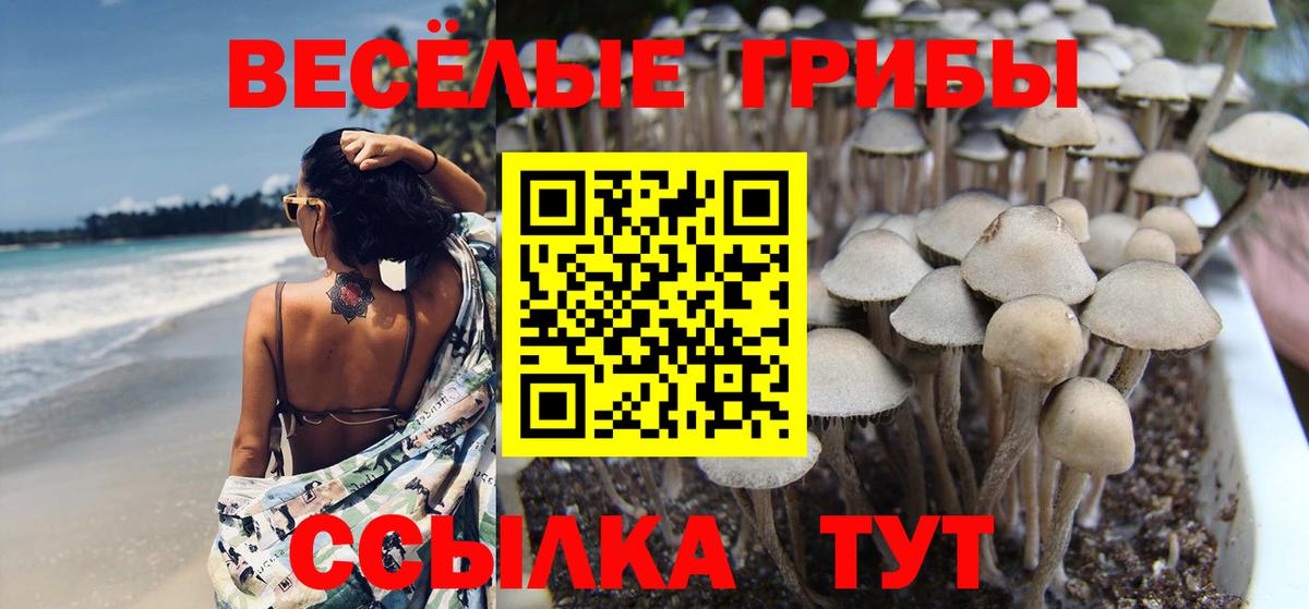 Псилоцибиновые грибы мицелий Советск
